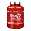 100% Whey Protein Professional 2350g (Scitec Nutrition)