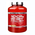100% Whey Protein Professional 2350g (Scitec Nutrition)